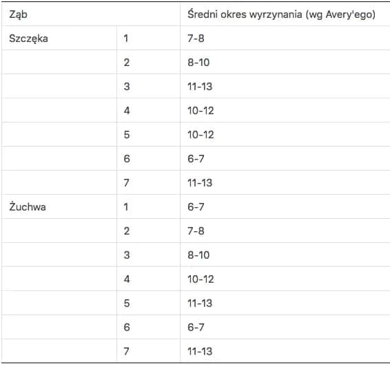 Ile zębów ma człowiek? Od mleczaków po ósemki wszystko, co musisz wiedzieć